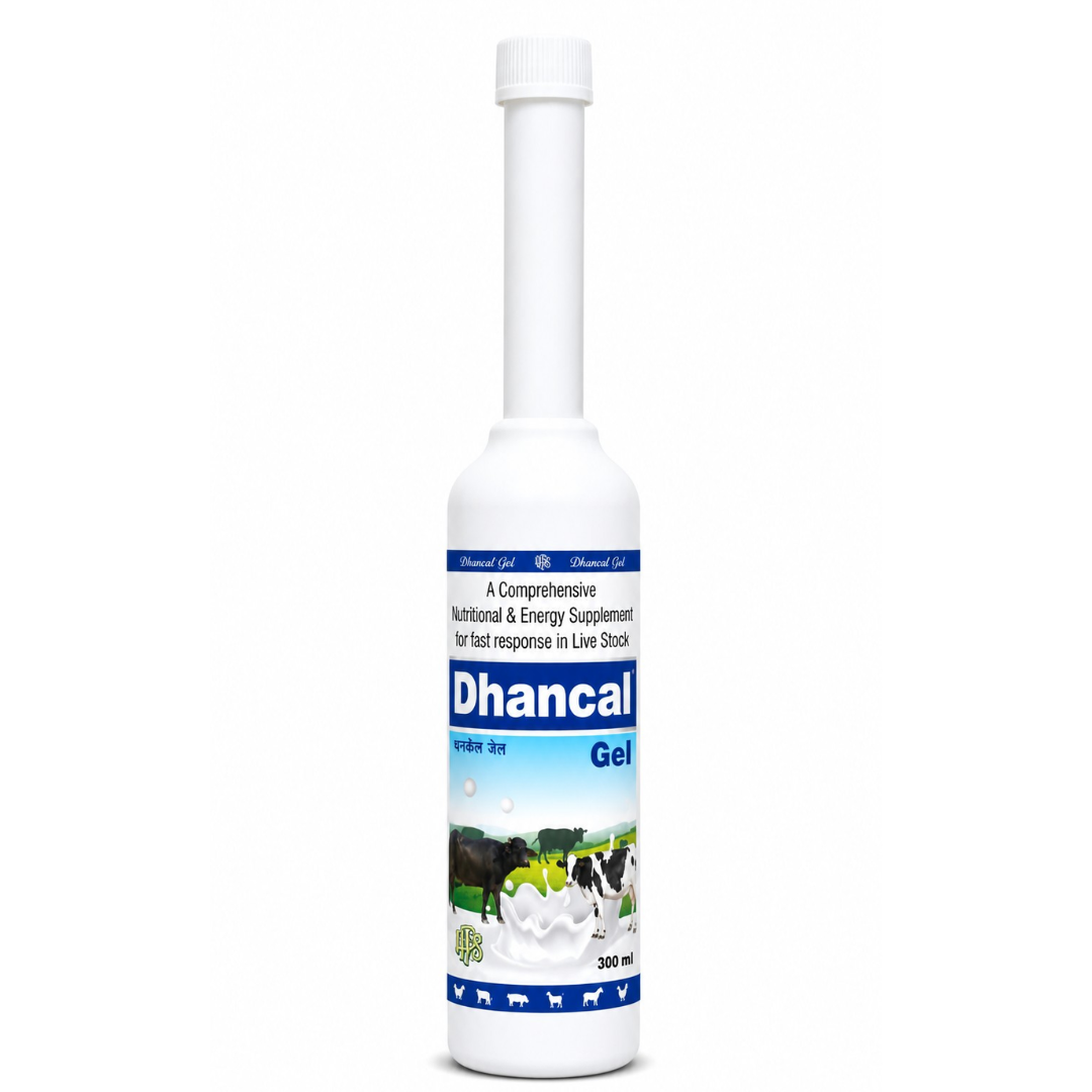Dhancal Gel – 300g