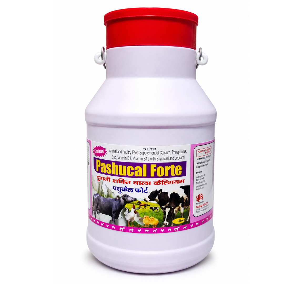 Pashucal Forte – 5Ltr